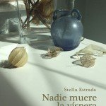 Presentación novela Stella Estrada